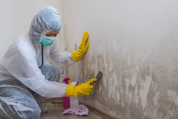 Best Crawl Space Mold Removal  in Council Grove, KS