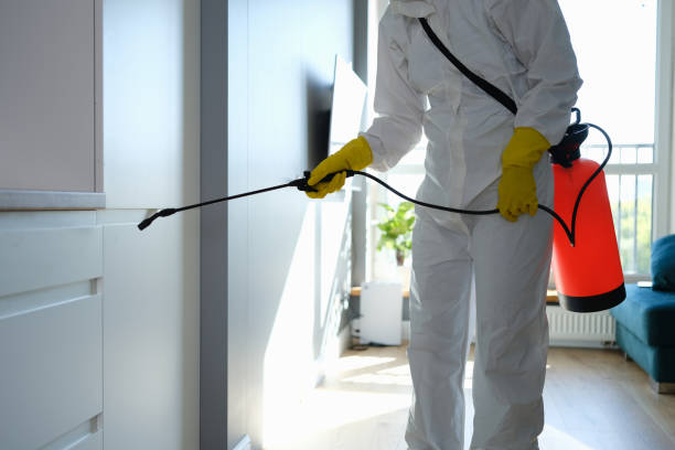 Best Toxic Mold Removal  in Council Grove, KS