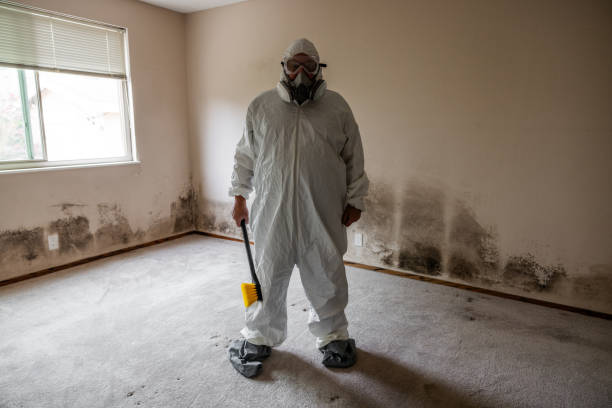 Best Residential Mold Removal  in Council Grove, KS